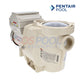 Pentair IntelliFlo 3 HP Variable Speed Pool Pump | 230V | EC-011028