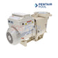 Pentair IntelliFlo 3 HP Variable Speed Pool Pump | 230V | EC-011028