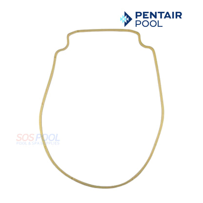 Pentair Seal Plate Gasket For Whisperflo And Intelliflo Pump | Almond | 357102